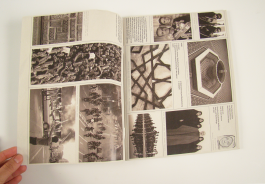 Studio Golnar Katrahmani