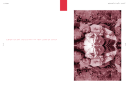 Bio-Terror - Studio Katrahmani 2013 - Multilingual Typography