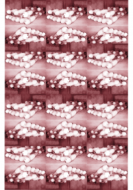 Studio Golnar Katrahmani