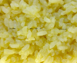 Studio Golnar Katrahmani