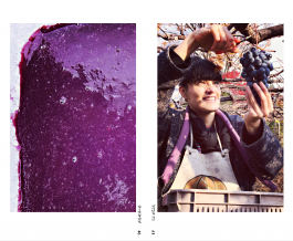 Studio Golnar Katrahmani