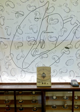 Studio Golnar Katrahmani