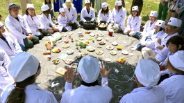 Studio Golnar Katrahmani